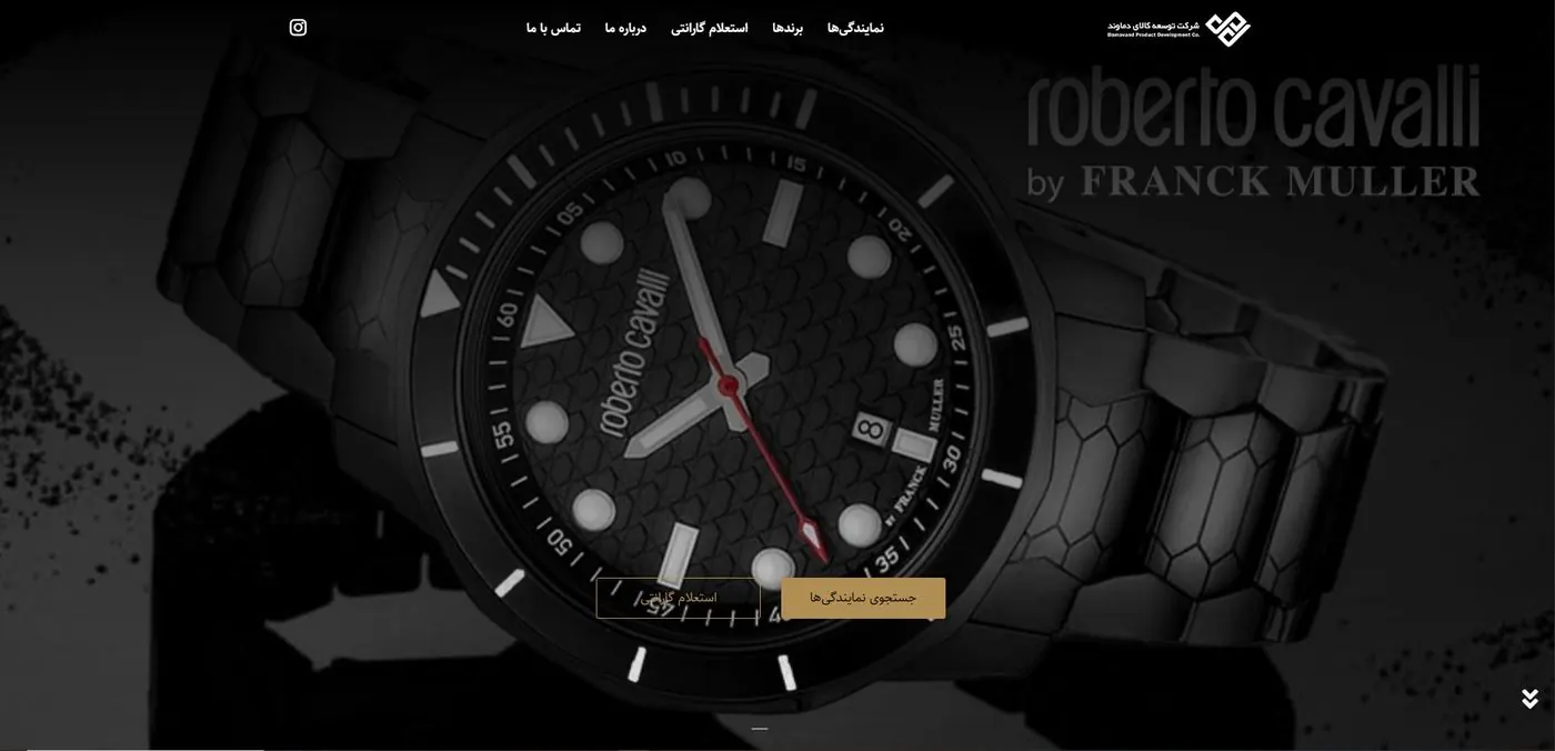 Damavand Product Development website | Saeed Hashemkhani